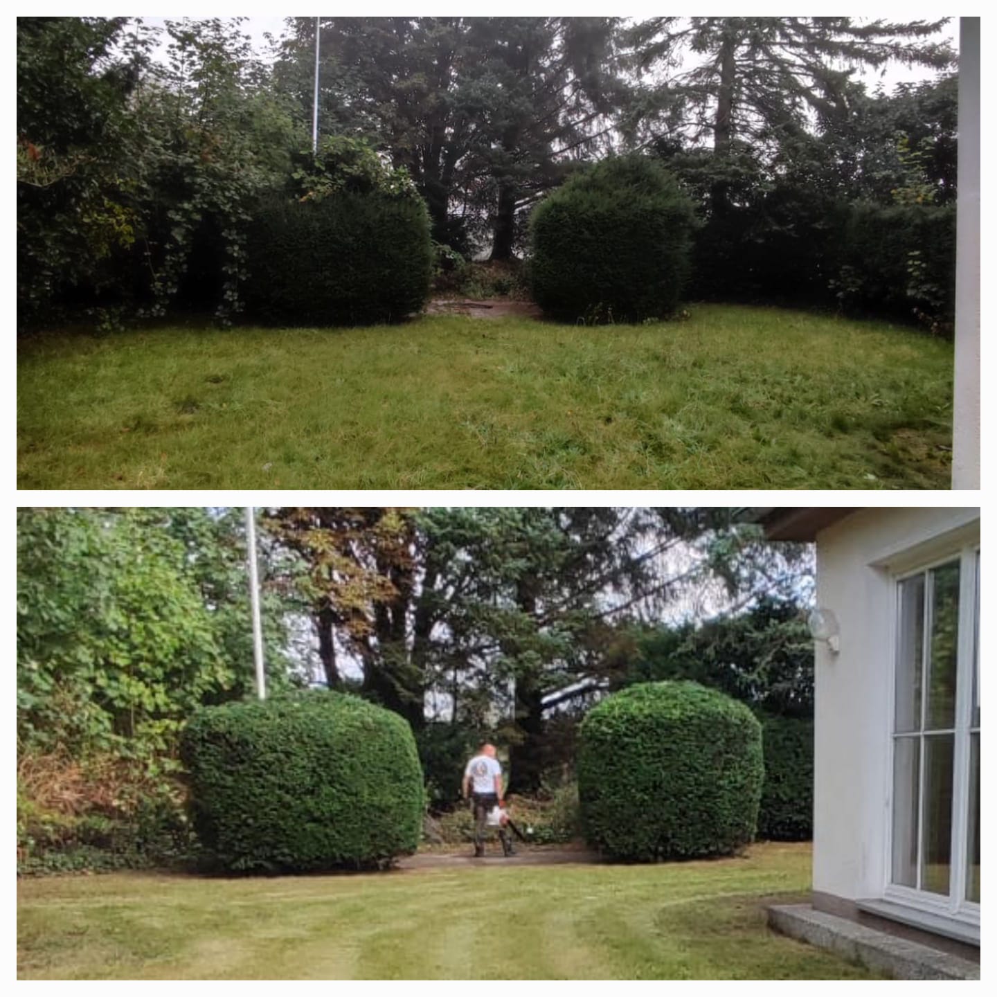 WhatsApp Image 2022-10-05 at 14.48.28 (2)